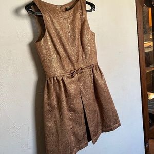 Taylor dress bronze size 8